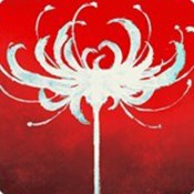 66彩神官网